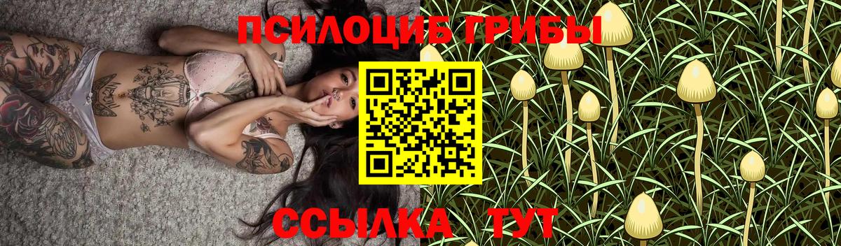 Рязань  Галлюциногенные грибы мицелий  где купить наркоту  Вход с VPN 